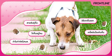 Moblie Banner_360x180px.jpg