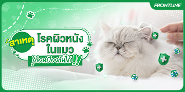 Moblie Banner_360x180px.jpg