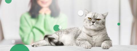 12-fl-banner-1440x542