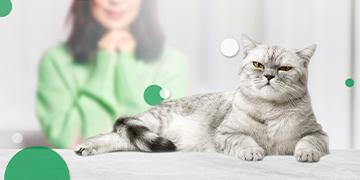 12-fl-banner-360x180