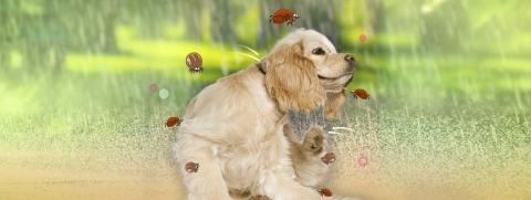 23-fl-banner-1440x542